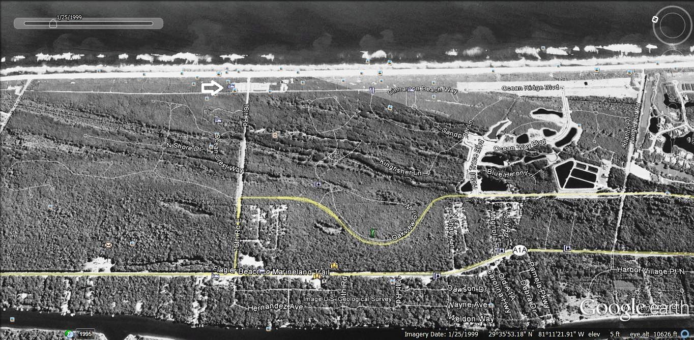 Hammock Beach and Ocean Hammock - Google Earth 1999
